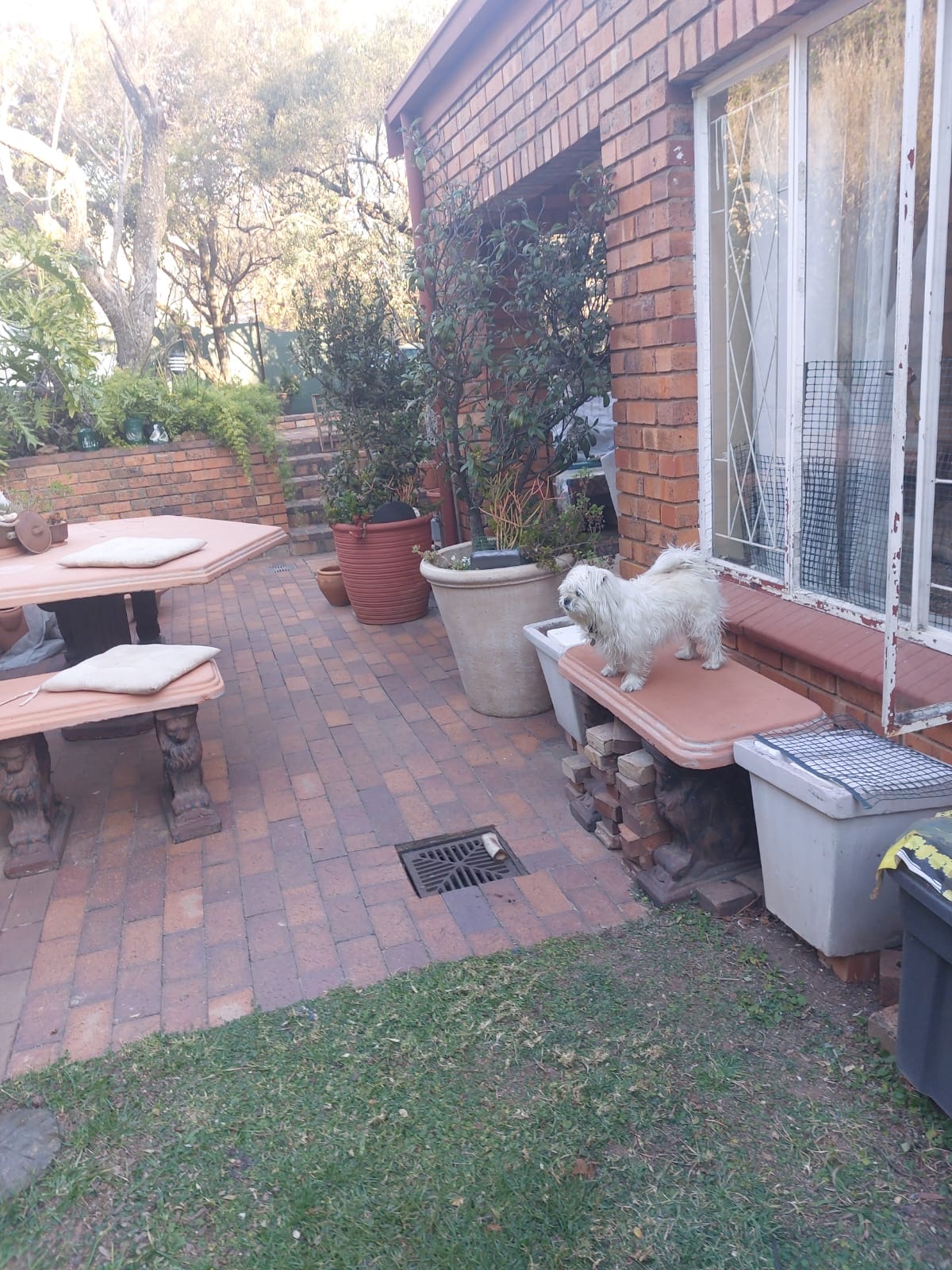 Happy pet at FatPuppy Pet Care